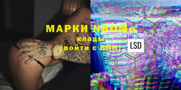 гашик Зерноград