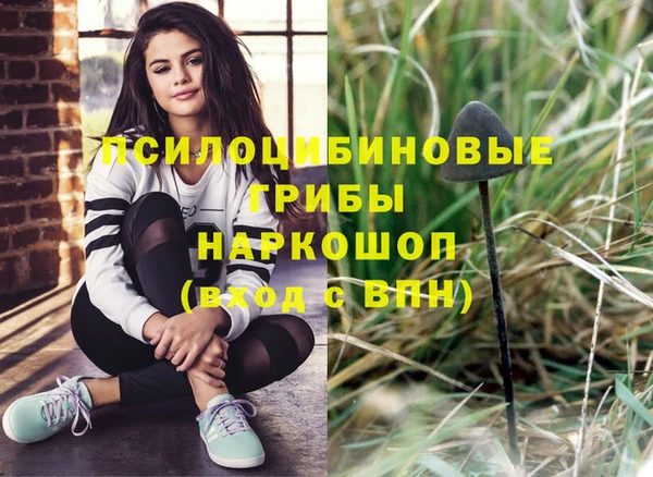 гашик Зерноград