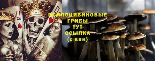 тгк Зеленокумск